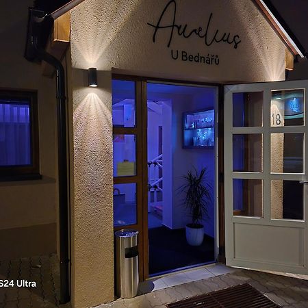 Penzionu Aurelius U Bednaru Pavlov Zewnętrze zdjęcie